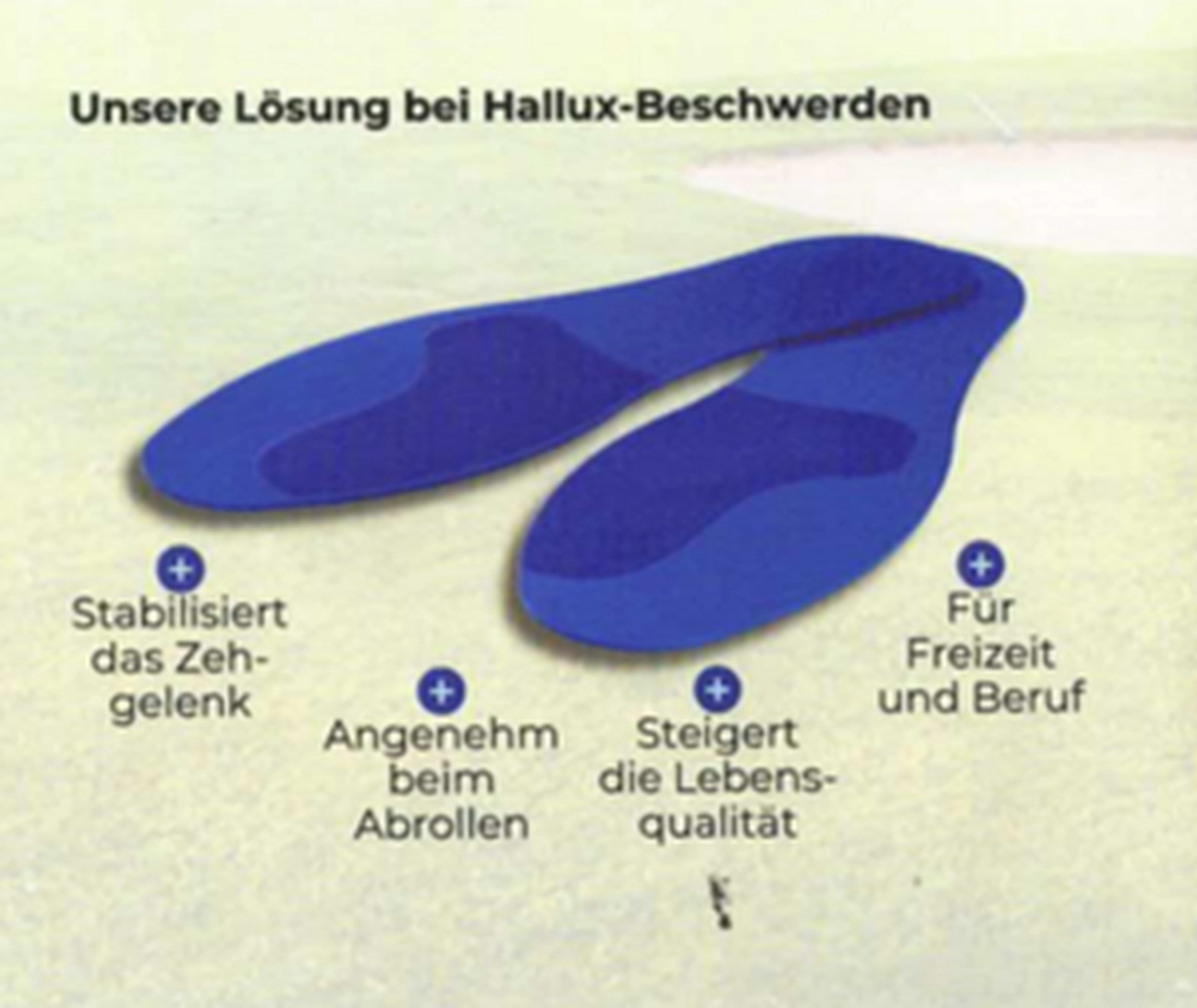 Hans-Peter Mielke - Vertrieb von Hallux Einlegesohlen - Sohle