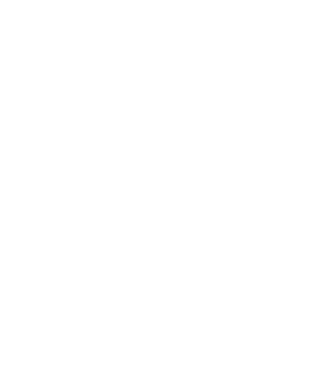 Hans-Peter Mielke - Vertrieb von Hallux Einlegesohlen - symbol